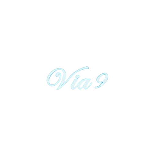 VIA9 Logo